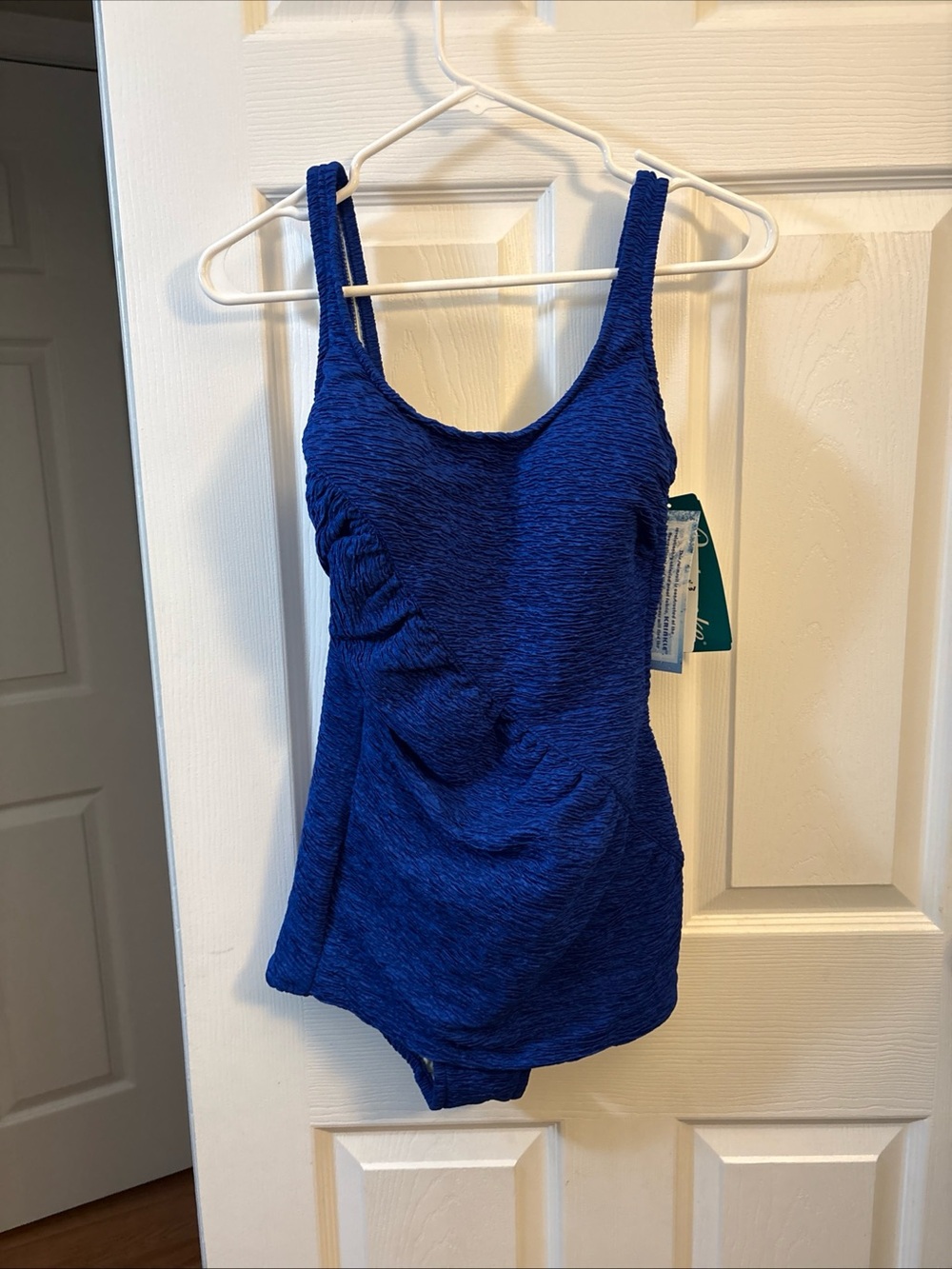 Classic Blue Tank One-Piece Swimsuit for Women
